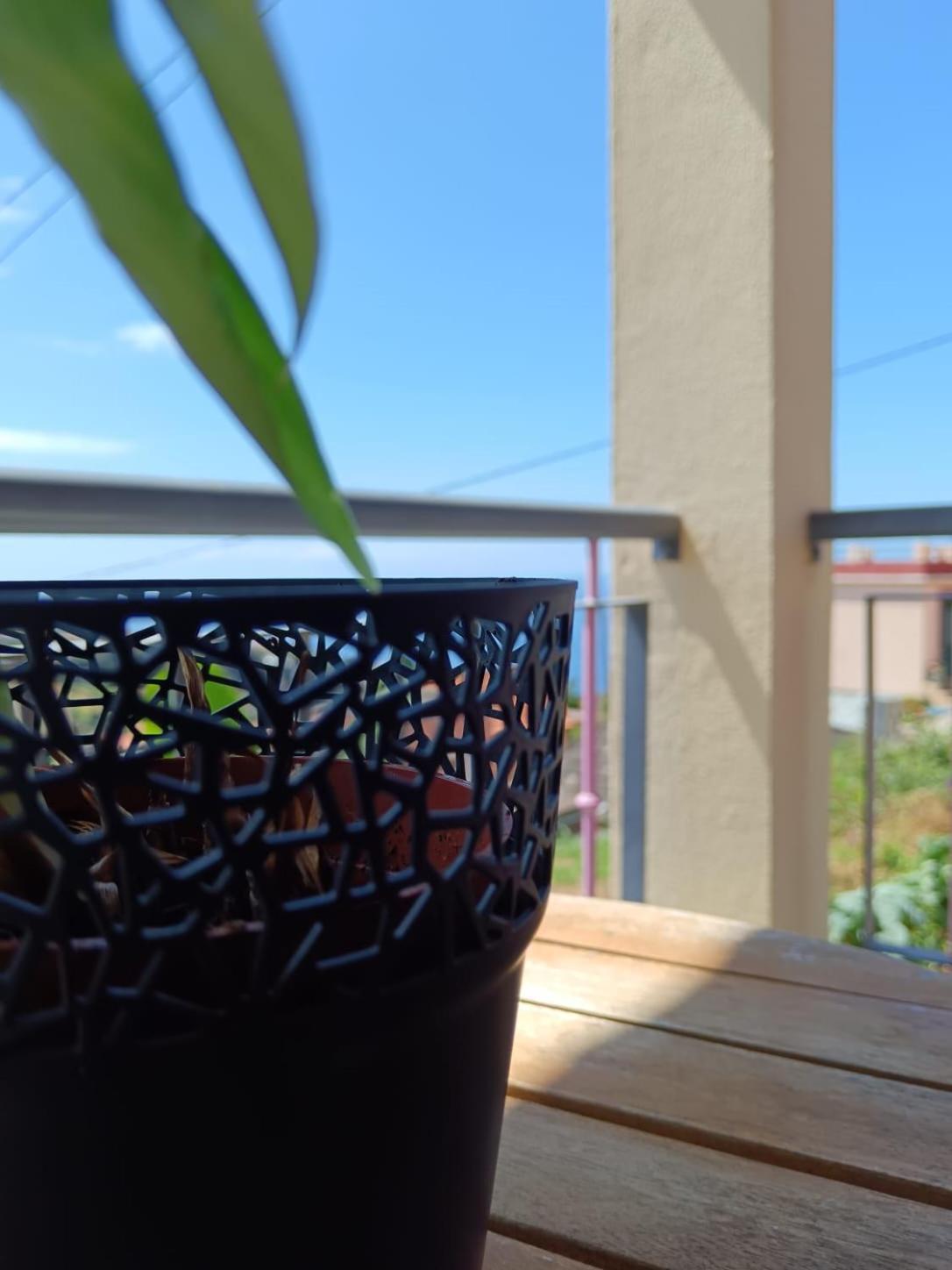 Casa - Peceful Mountain Retreat In Calheta Accommodatie bij particulieren *